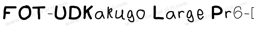 FOT-UDKakugo Large Pr6字体转换